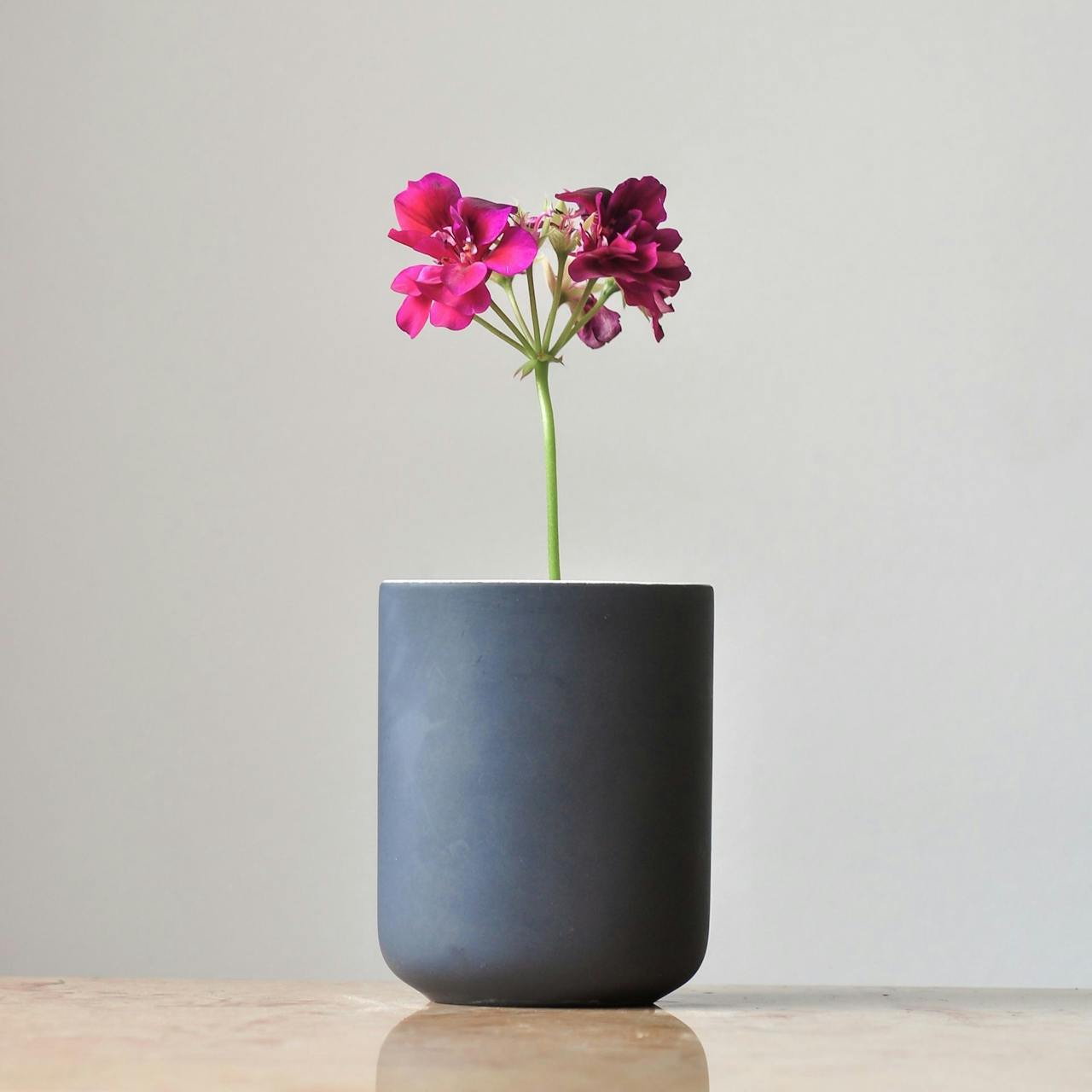 Diese Vase ist wunderschön durch pure Einfachheit.