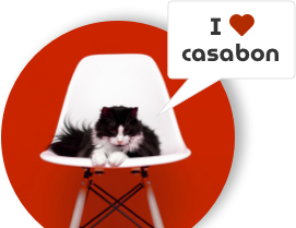 Katze auf Designerstuhl